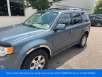 2010 Ford Escape Limited