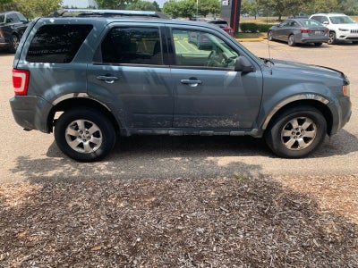 2010 Ford Escape Limited