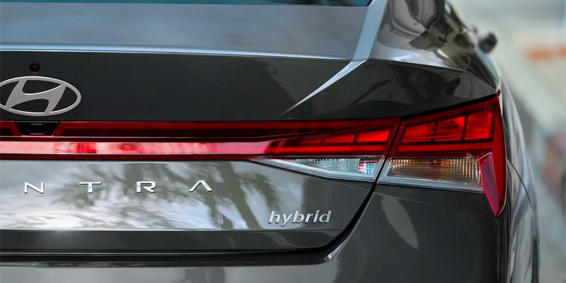 2025 Hyundai Elantra Hybrid Tail Lamp